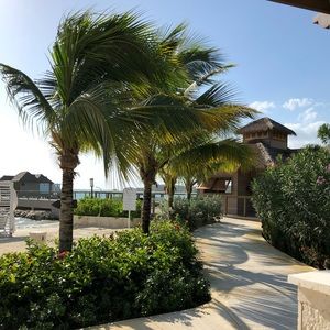 Meet your Posher, Kory